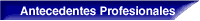 Antecedentes Profesionales